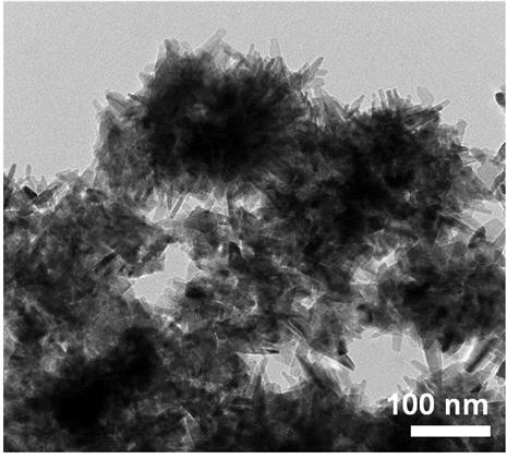 염기성 물질이 첨가된 성게 형태의 나노 구리 촉매 전극의 전자 현미경(TEM) 사진
