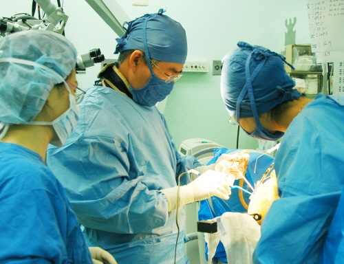 파킨슨병 뇌심부자극술을 시행하고 있는 백선하 교수 (사진=서울대병원)