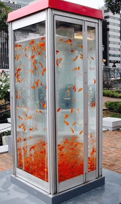 전화박스에서 금붕어가 헤엄치는 작품. 현대미술가 야마모토 노부키는 1998년 금붕어가 제작해 화제를 모았다.. (출처=cocolonooka.com)