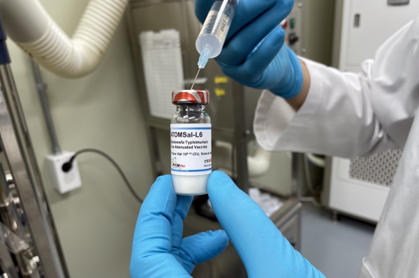 한국원자력연구원이 개발한 살모넬라 백신(ATOMSal-L6). (한국원자력연구원)