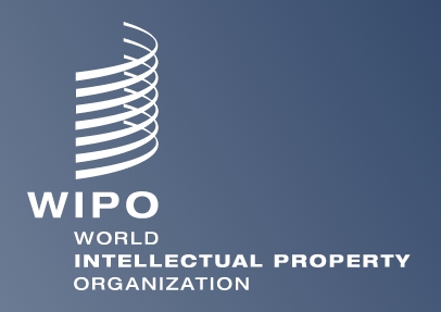 출처:세계지식재산권기구(WIPO) 홈페이지.
