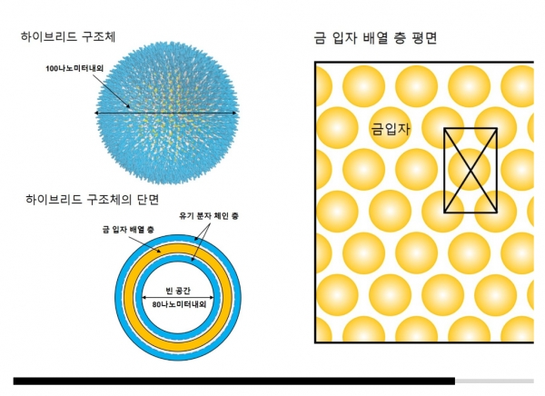 한국원자력연구원이 자체 개발한 금 나노입자 구조체(왼쪽)와 '중심 직사각형 모양'으로 배열된 금 나노입자 구조도. (한국원자력연구원 제공)