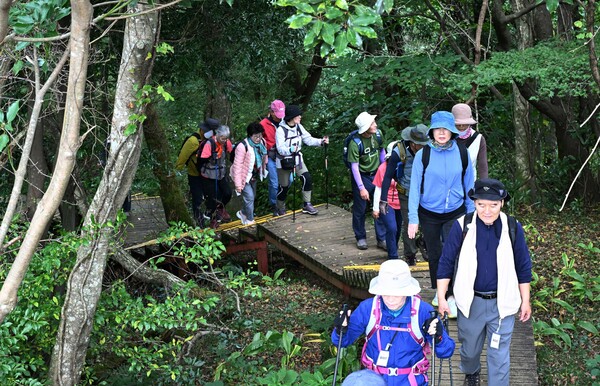 검은오름 용암길 코스인 '태극길'. (제주도)
